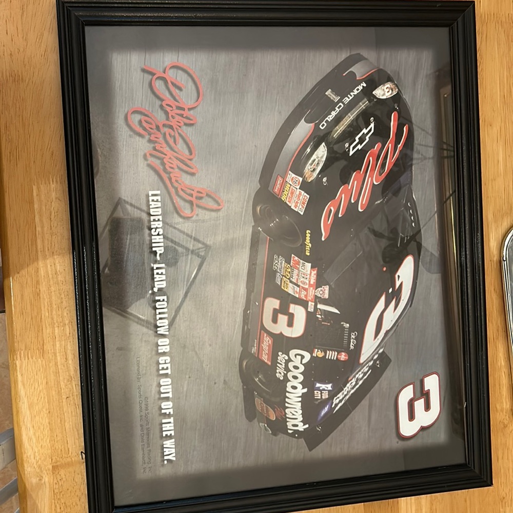 Dale Earnhardt Picture